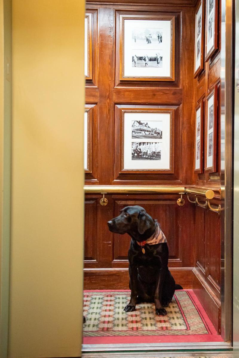 The Willcox Hotel Aiken Luaran gambar